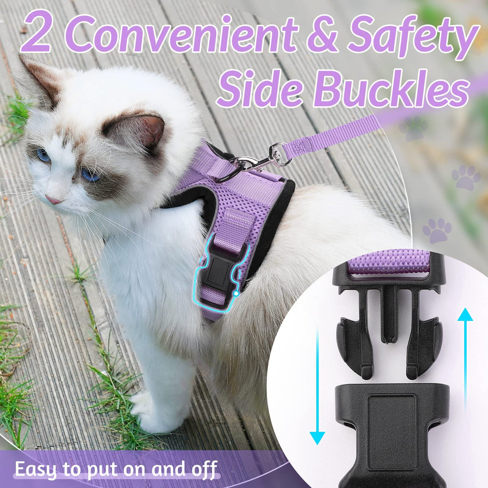 Arnés Rabbitgoo con anilla en D dorsal para sujeción estable.