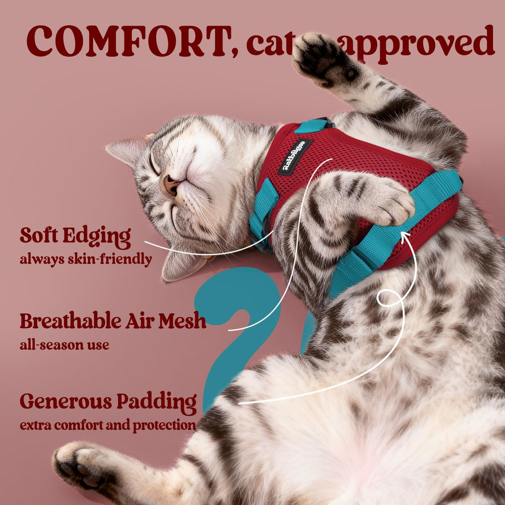 Arnés Rabbitgoo bandas reflectivas para mayor visibilidad