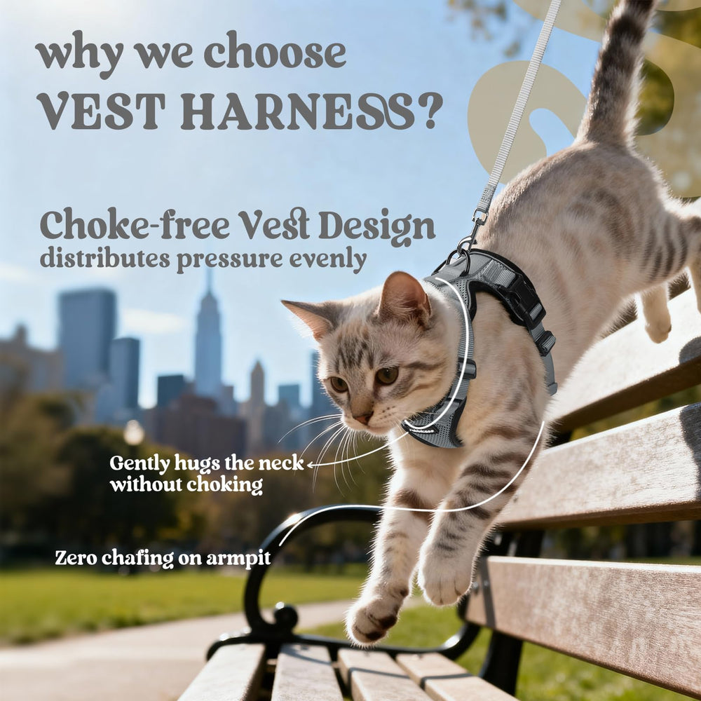 Arnés Rabbitgoo con anilla D trasera y reflector para visibilidad.