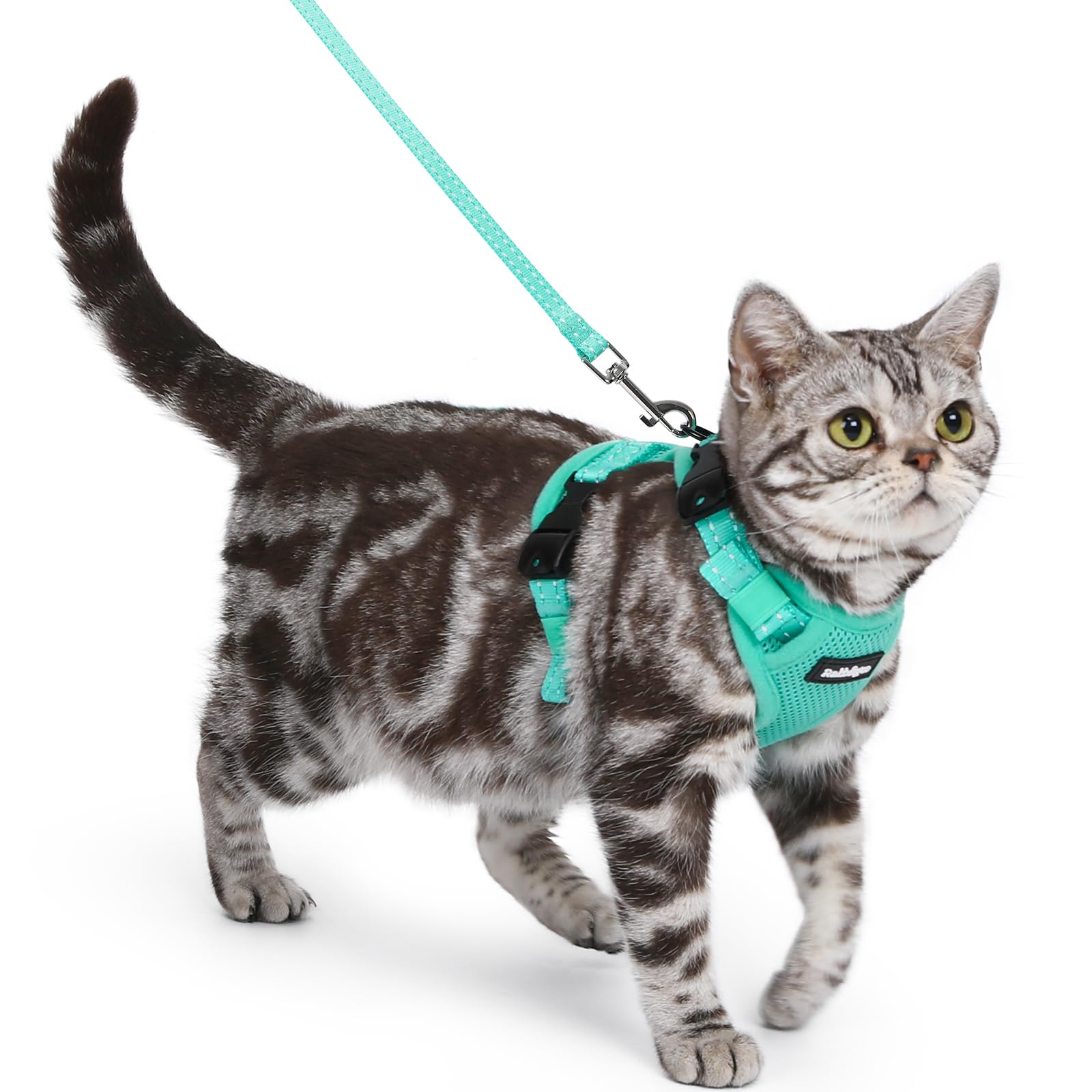 rabbitgoo arnés para gato con tres hebillas y ajuste seguro para paseos