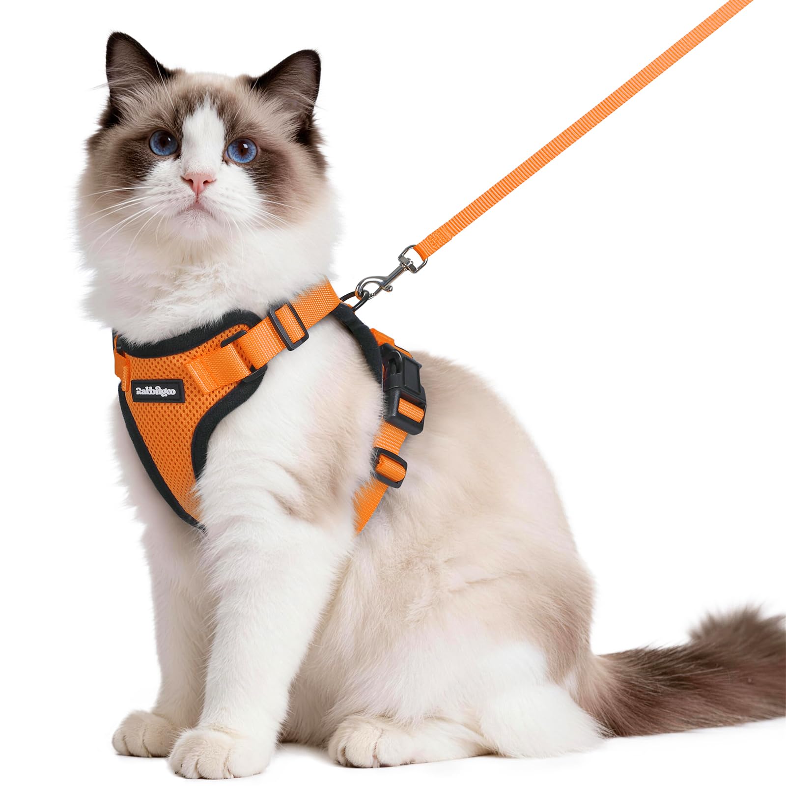 rabbitgoo arnés gato malla aire: cómodo y transpirable para paseos diarios