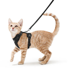 Arnés Rabbitgoo para gato talla S con ajuste seguro para paseos.