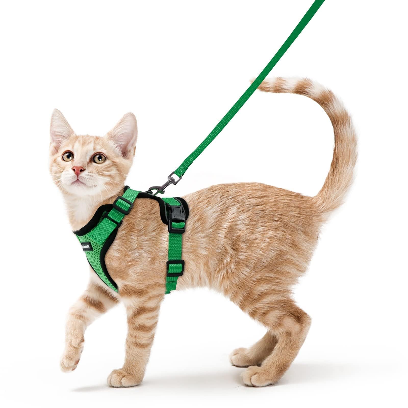Arnés gato transpirable de rabbitgoo con malla de aire para mayor comodidad.