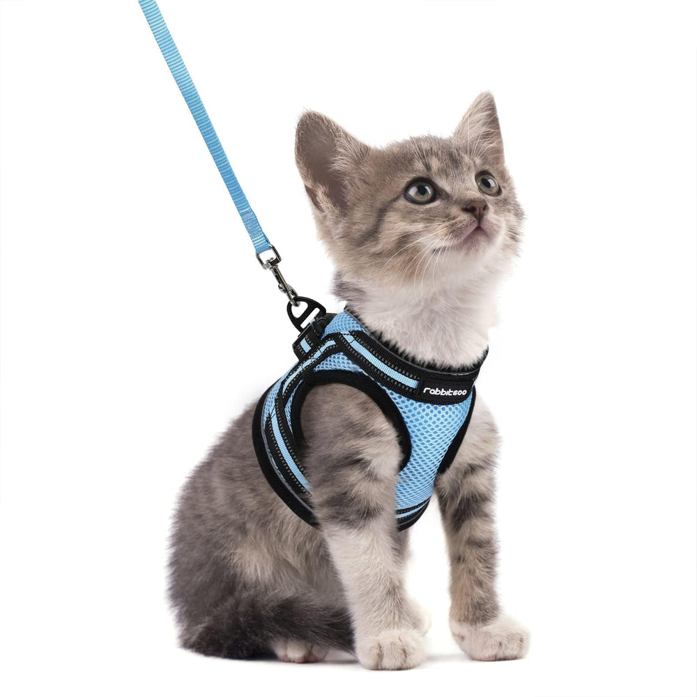 Arnés Rabbitgoo para gatos con ajuste ergonómico, cómodo y seguro para paseos diarios.