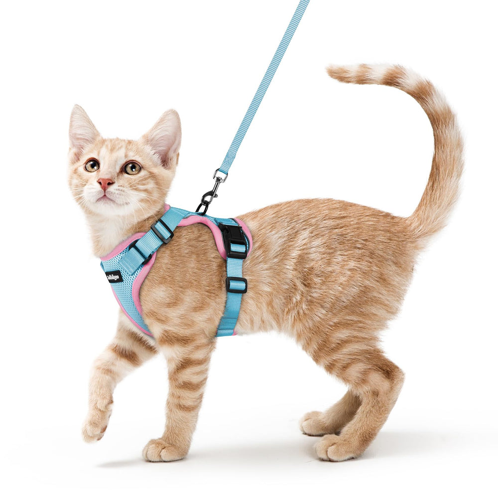 Arnés Rabbitgoo para gatos con malla transpirable, ideal para paseos diarios.