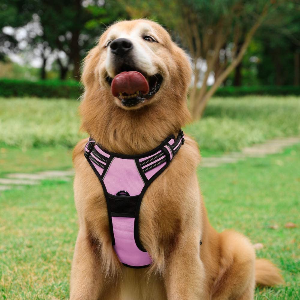 Arnés rabbitgoo talla grande rosa para perros grandes.