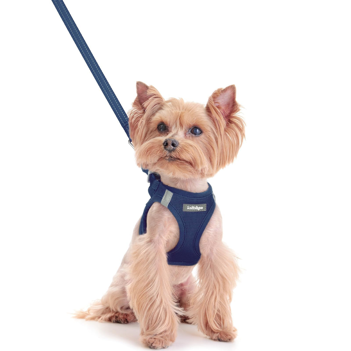 Rabbitgoo arnés paso para perro XXS, cómodo y fácil de colocar para paseos diarios