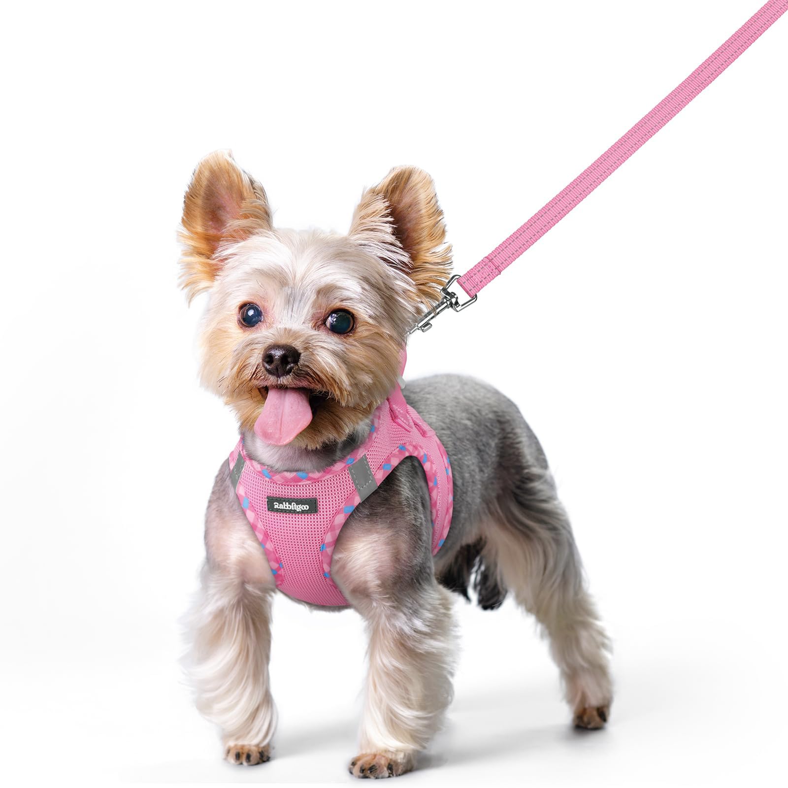 Arnés Rabbitgoo paso-una-vez para perro, transpirable y cómodo para paseos