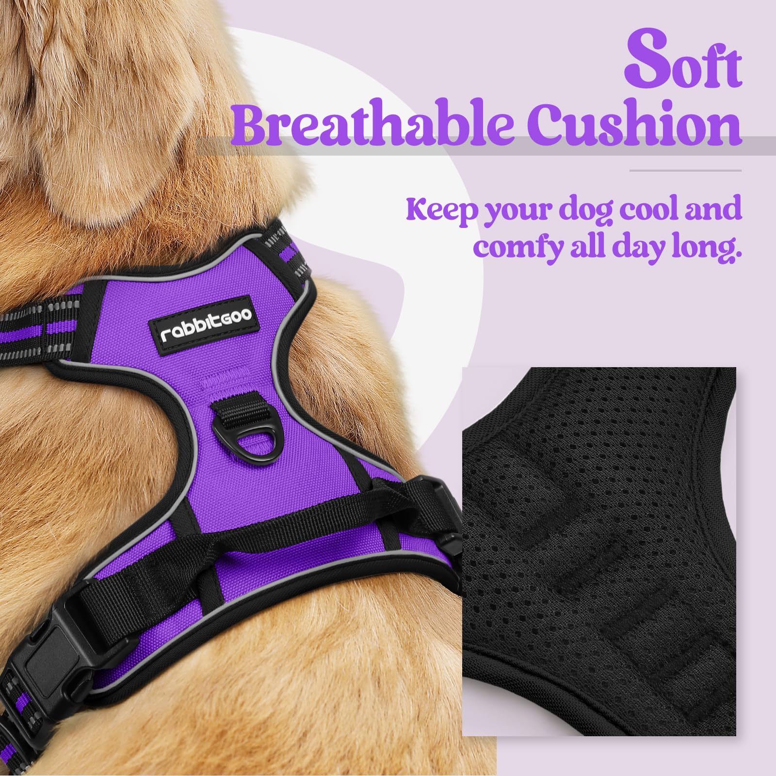 Arnés Rabbitgoo con acople pecho para evitar tirones durante la caminata