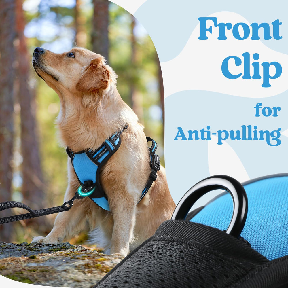 Arnés Rabbitgoo con almohadilla acolchada y bordes suaves para evitar irritación.