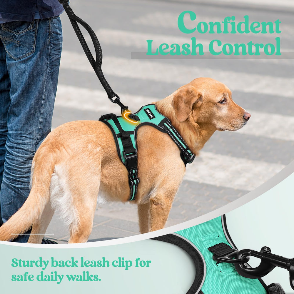 Arnés Rabbitgoo asa de control superior para entrenamiento