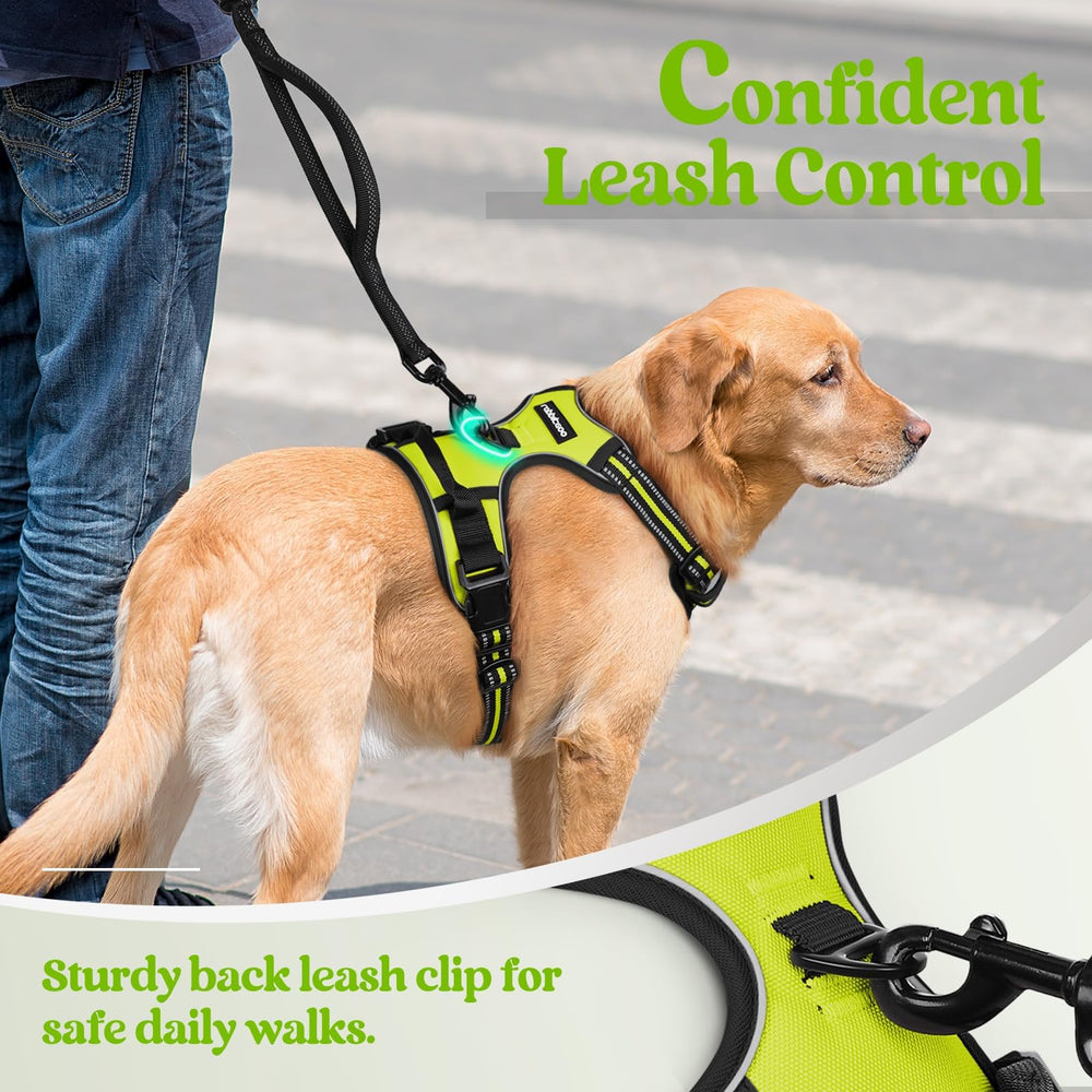Arnés Rabbitgoo con asa de control superior para guiar al perro.