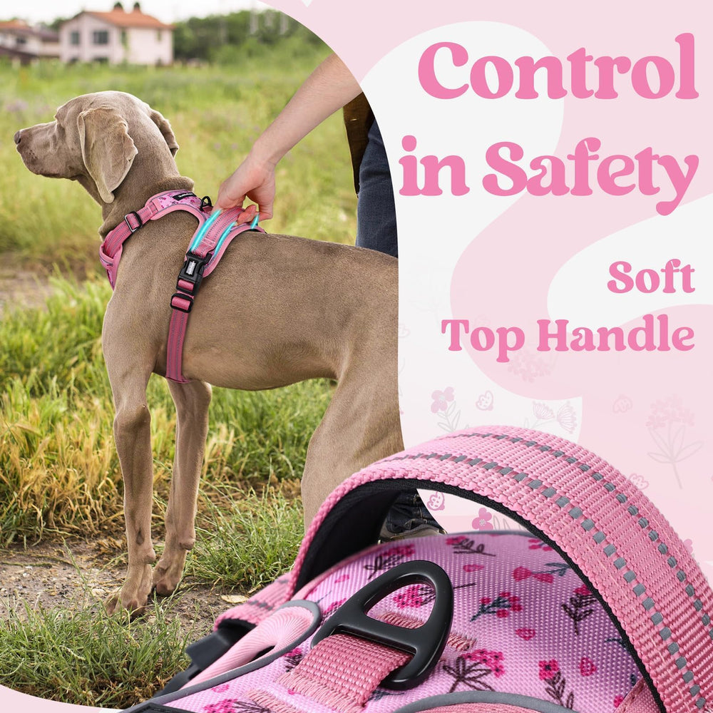 Arnés Rabbitgoo con asa superior rosa floral, control cercano