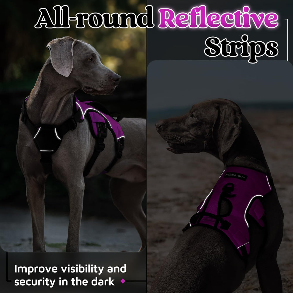 Diseño seguro para perros activos, perfecto para paseos y ejercicios de entrenamiento