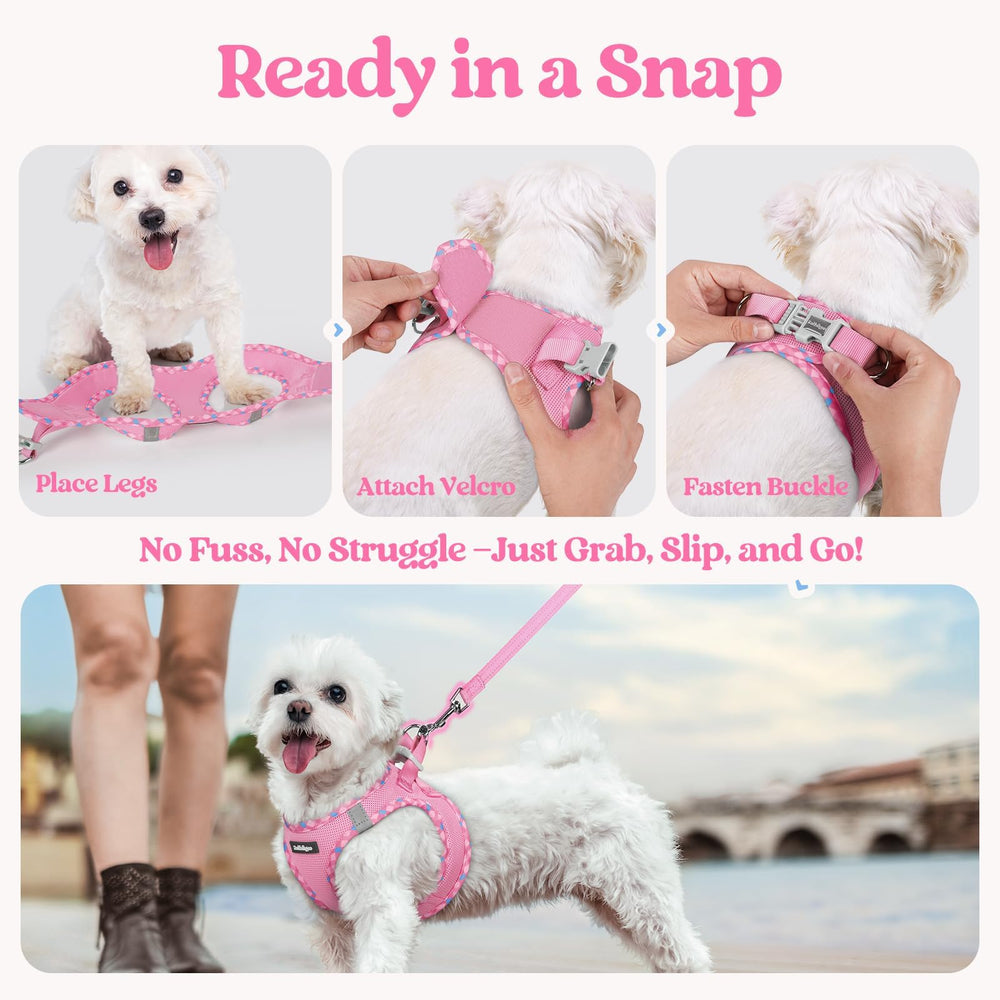 Diseño ergonómico de distribución de tirones rabbitgoo para caminatas estables.