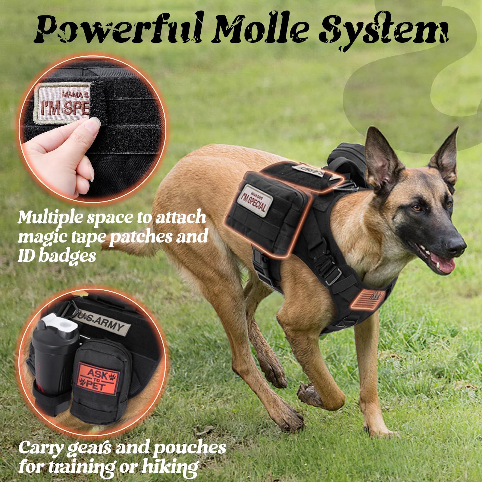 Punto de enganche trasero Rabbitgoo para caminatas casuales