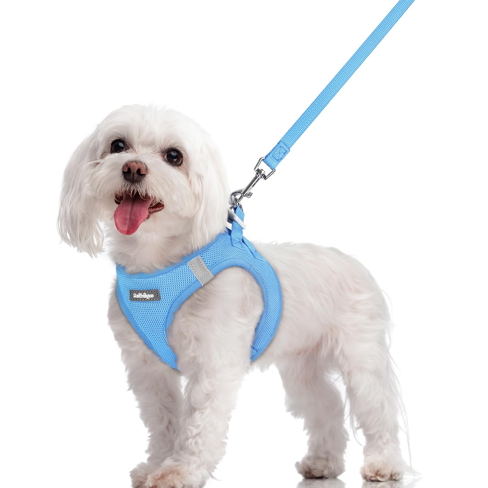 Arnés Rabbitgoo de entrada para perros, instalación rápida y cómoda para paseos diarios.