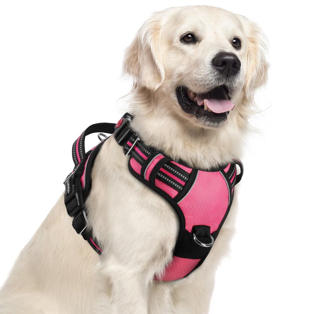 Arnés Rabbitgoo para perros grandes con 3 hebillas facilita ponerte y quitarte