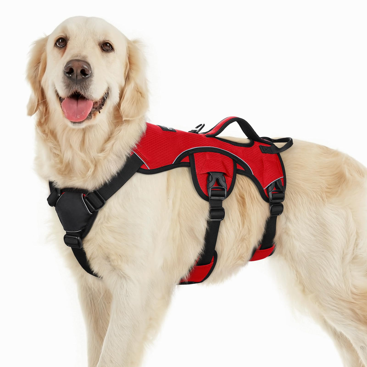 Arnés rabbitgoo anti-escape para perros grandes con ajuste de 5 correas para mayor seguridad