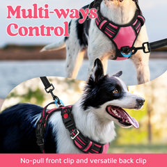 Asa de control Rabbitgoo para manejo seguro durante paseos