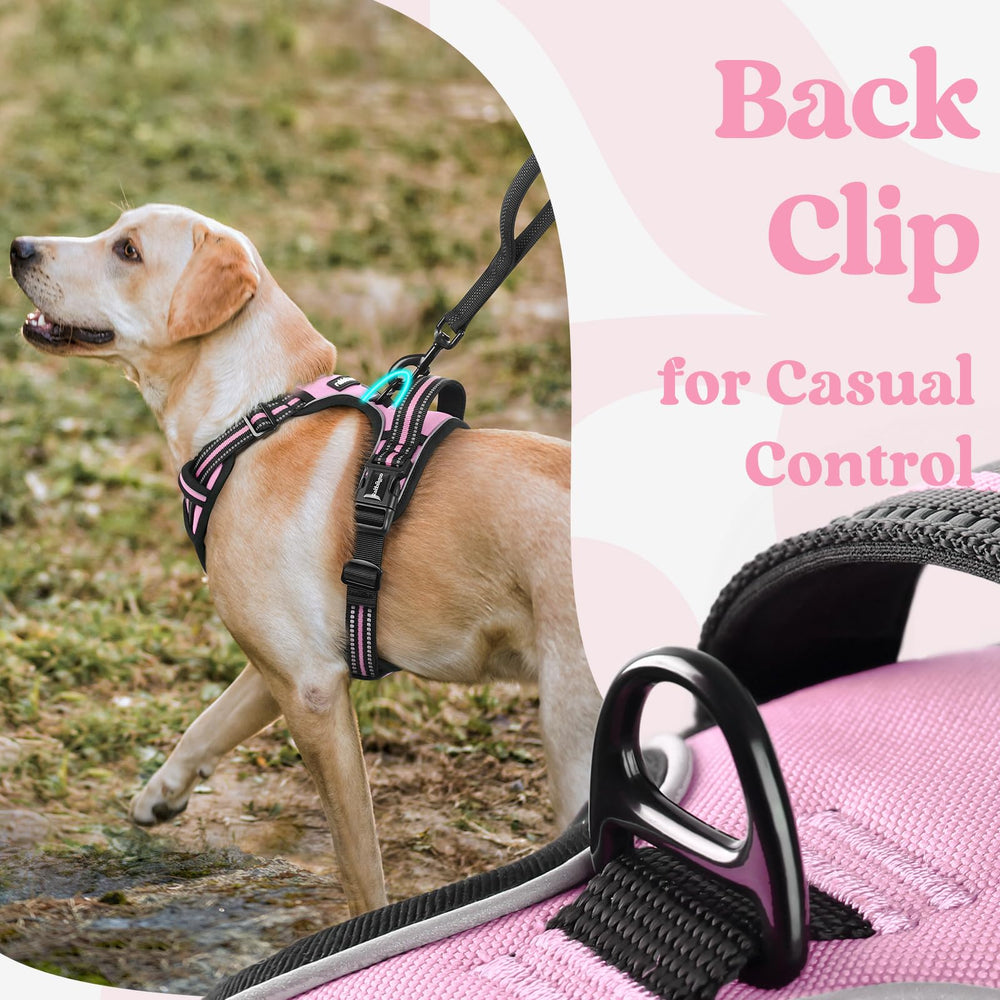 Arnés Rabbitgoo con asa de control ergonómica facilita asistencia y guía.