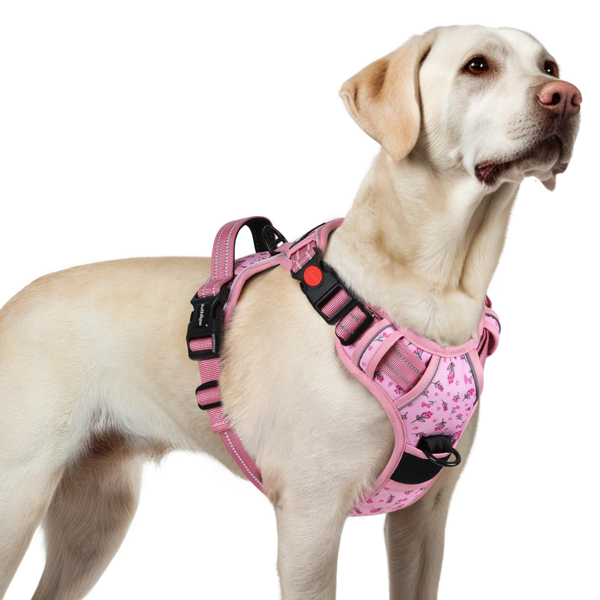 Arnés Rabbitgoo para perro grande en flor rosa con tres hebillas para ajuste seguro.