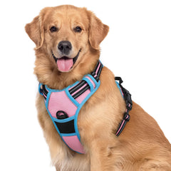 Arnés Rabbitgoo para perro grande, frontal para control durante paseos