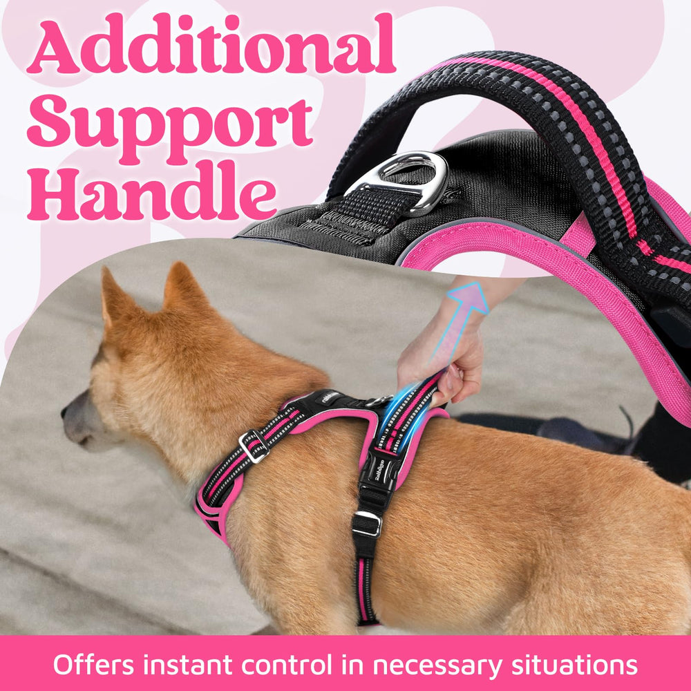 arnés rabbitgoo con mango de control superior para manejo seguro