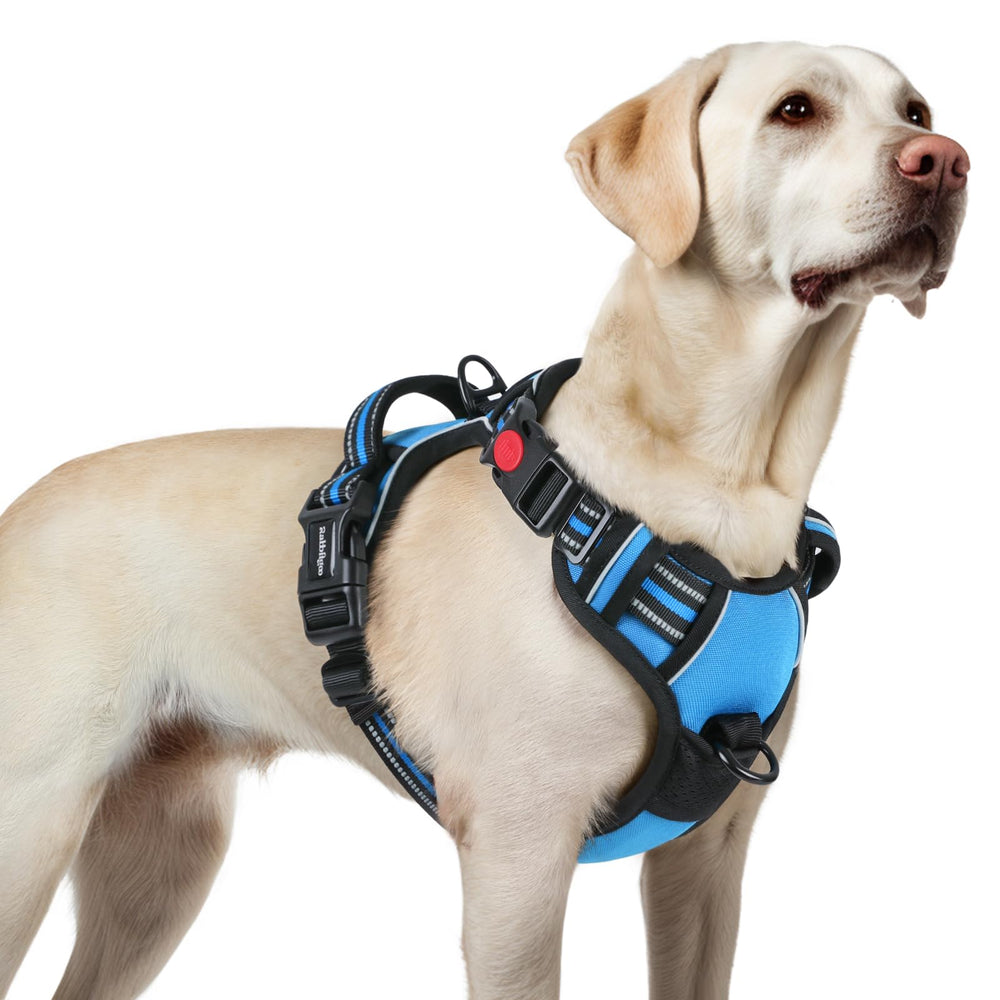 Arnés Rabbitgoo para perro grande sin tirón con tres cierres, color azul cielo