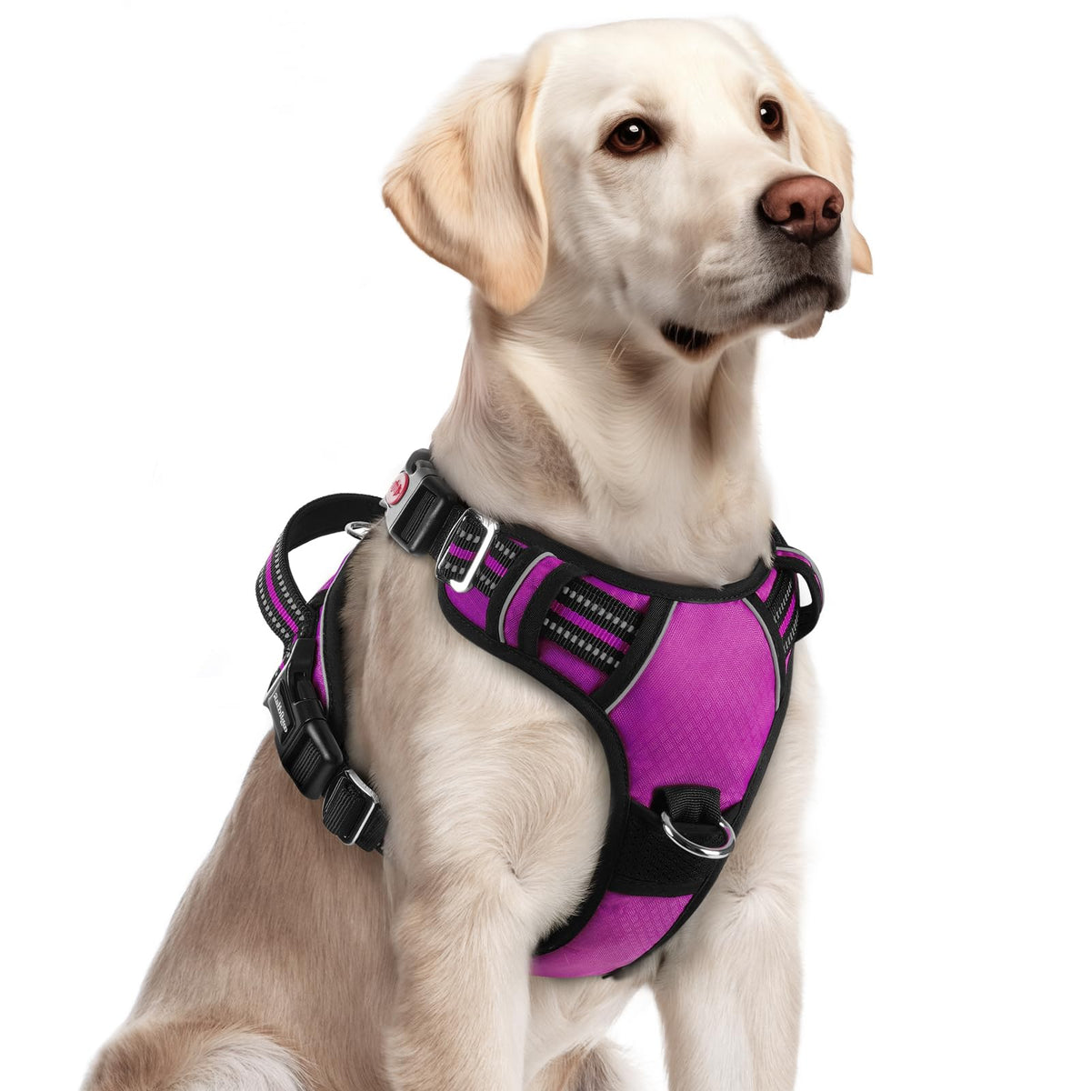 Arnés rabbitgoo para perro grande con tres hebillas para un ajuste rápido