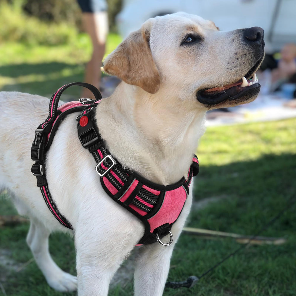 rabbitgoo arnés rosa talla L para perros grandes ajuste cómodo