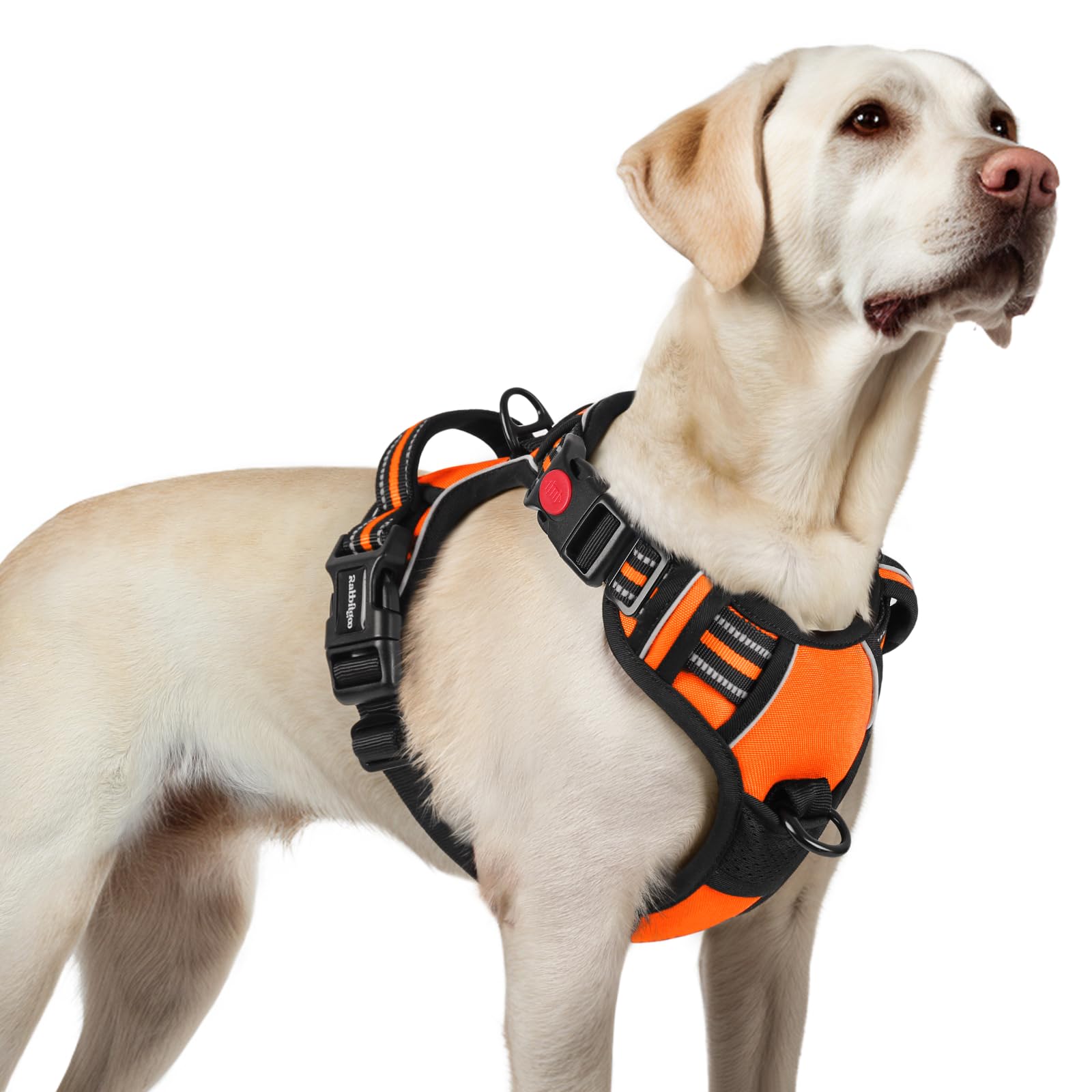 Arnés Rabbitgoo para perro grande con tres hebillas, ideal para paseos seguros.