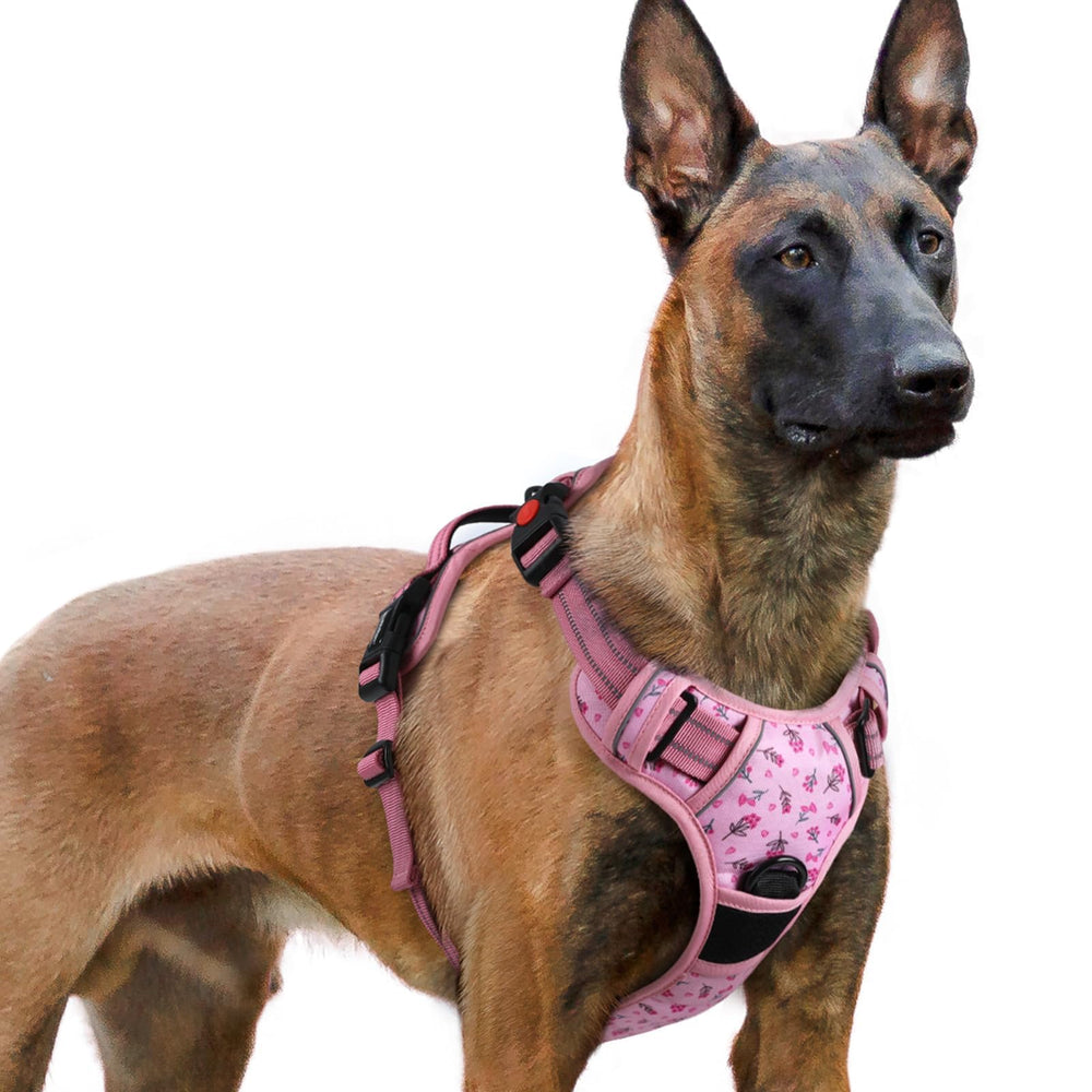 Arnés Rabbitgoo para perros grandes con tres hebillas, ajuste seguro para paseos