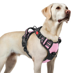 Arnés Rabbitgoo para perros grandes con tres hebillas para ponérselo fácilmente durante paseos.