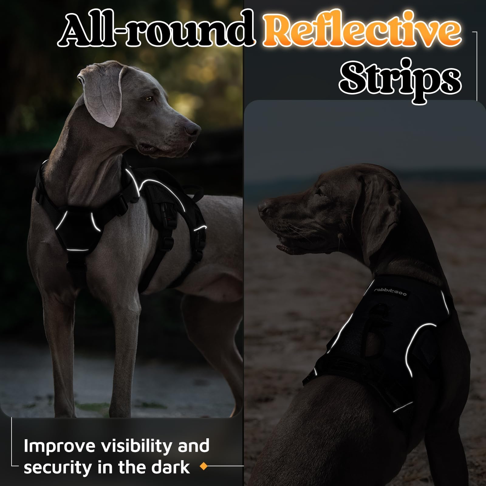 Arnés Rabbitgoo para perros grandes y activos