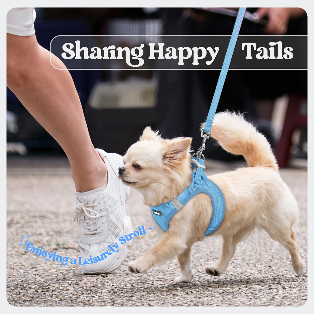 Arnés rabbitgoo ligero para paseos diarios