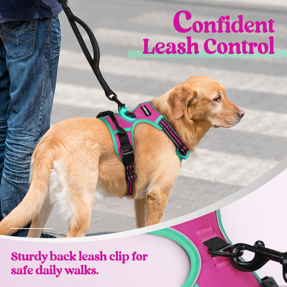 Arnés Rabbitgoo con asa superior para control adicional durante los paseos.