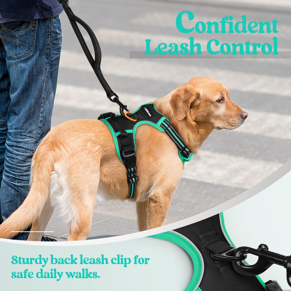 Mango de control en arnés Rabbitgoo para guiar al perro con facilidad.