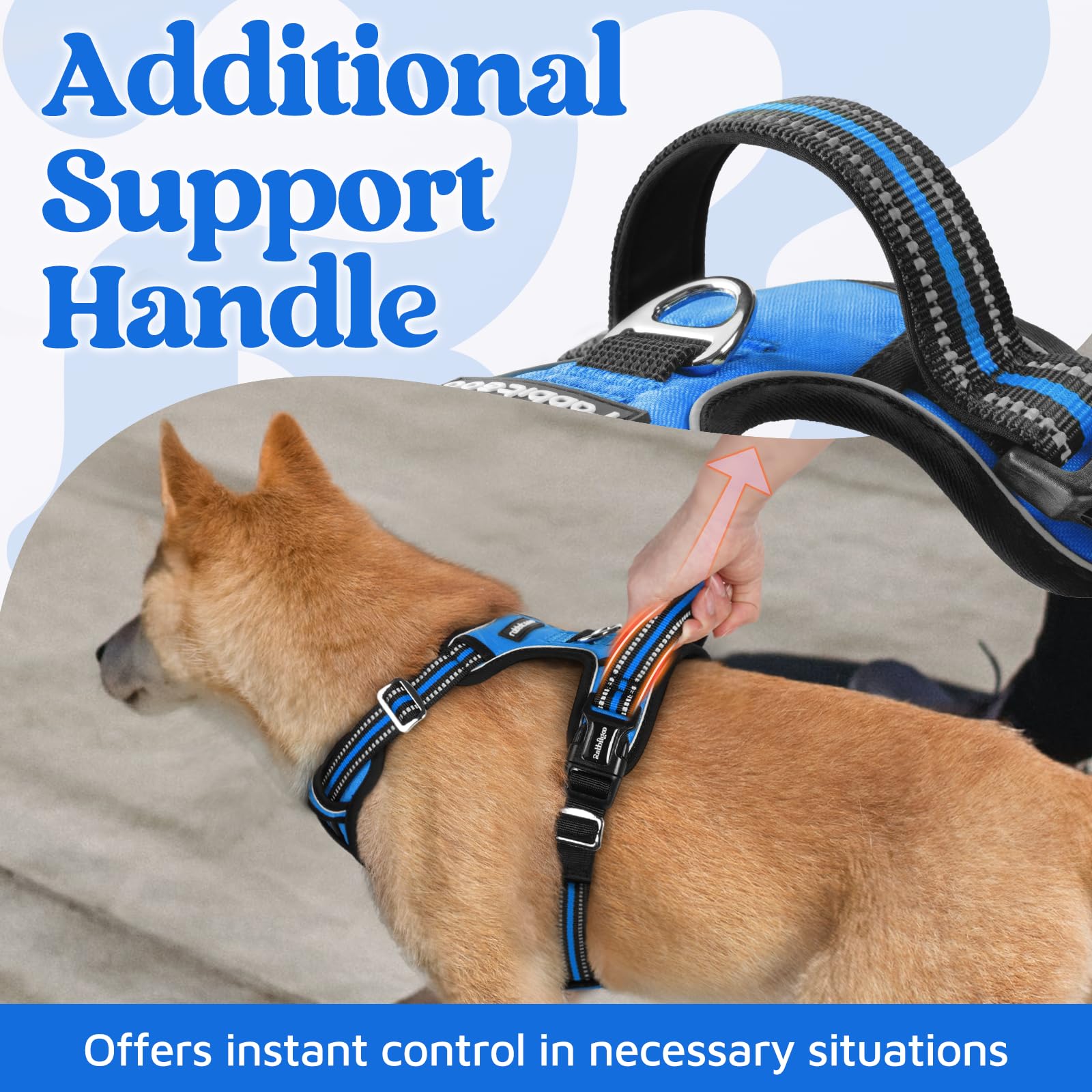 Arnés Rabbitgoo con manija superior amplia para mayor control.