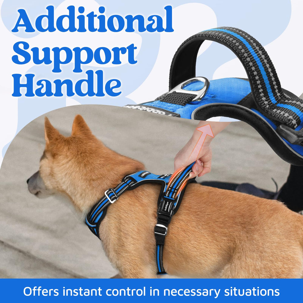 Arnés Rabbitgoo con manija superior amplia para mayor control.