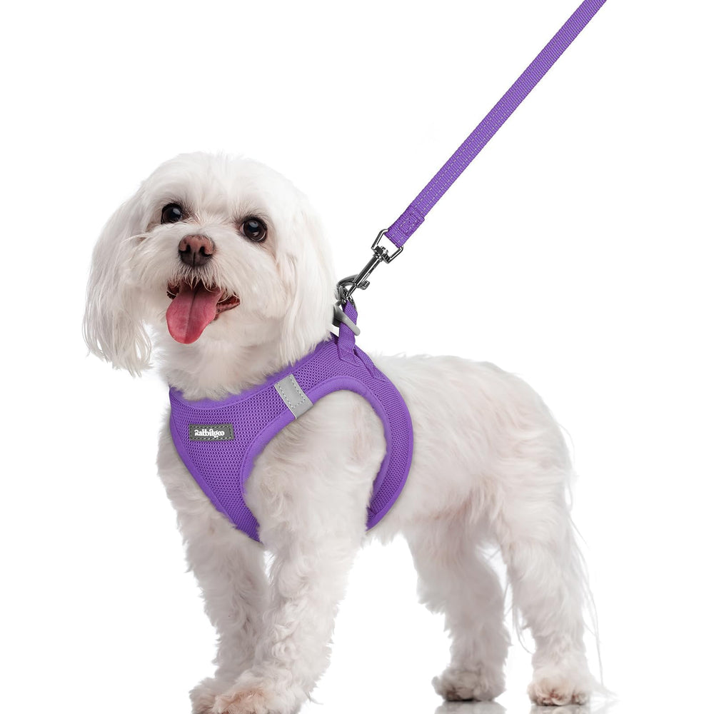 Arnés Rabbitgoo para perros, paso a entrar, cómodo y práctico para paseos diarios.