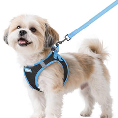 Arnés Rabbitgoo de paso transpirable para perros pequeños, cómodo en paseos diarios.