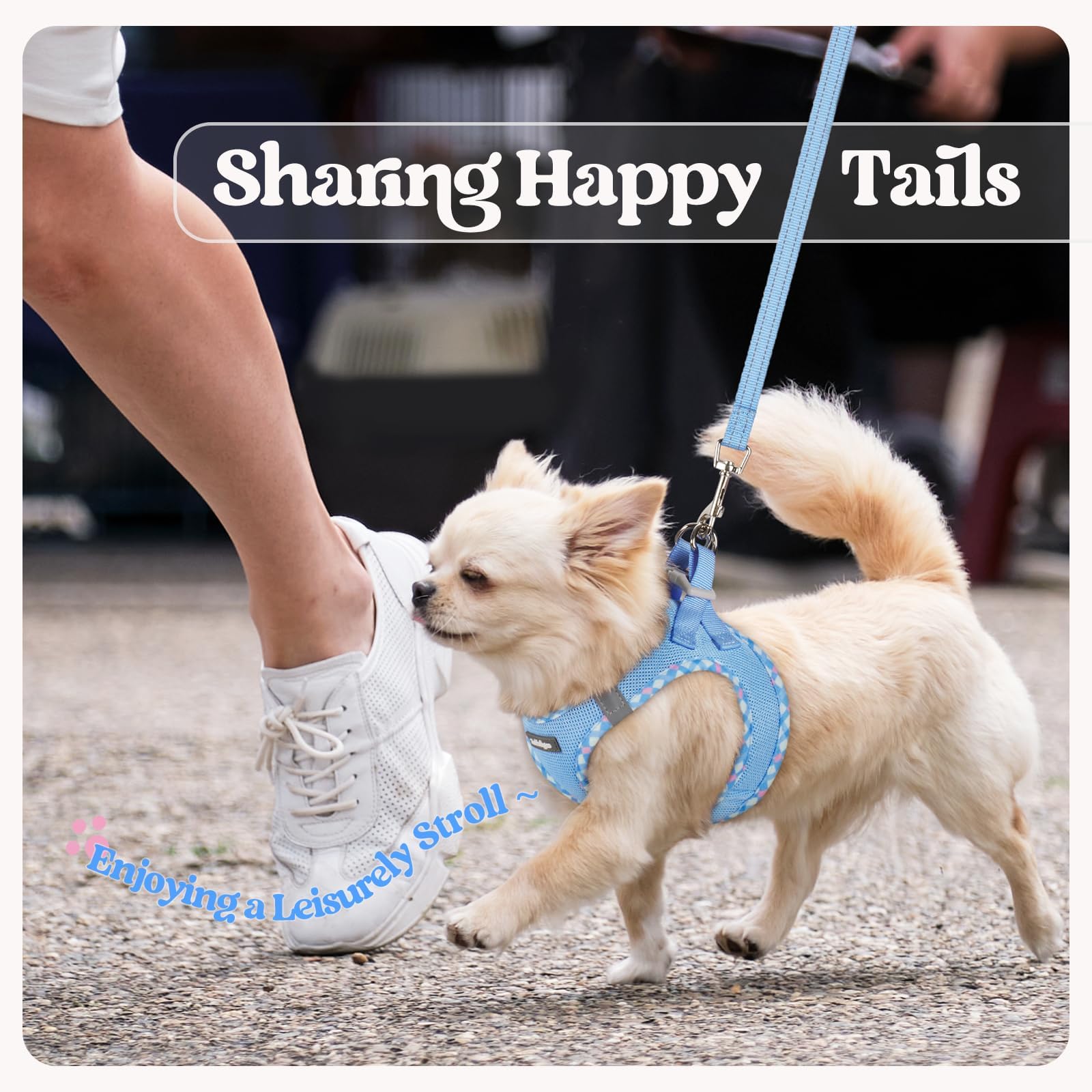 Arnés Rabbitgoo para perro pequeño, diseño ergonómico para paseos diarios.
