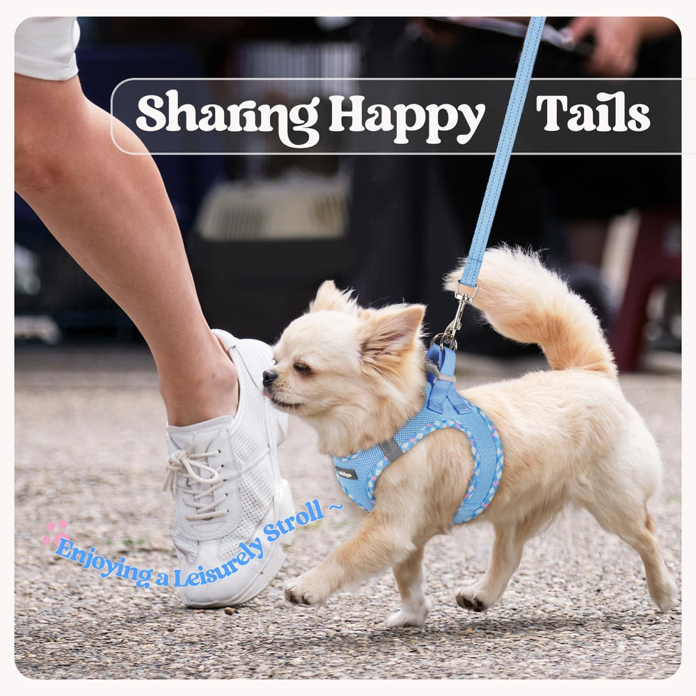 Arnés Rabbitgoo para perro pequeño, diseño ergonómico para paseos diarios.