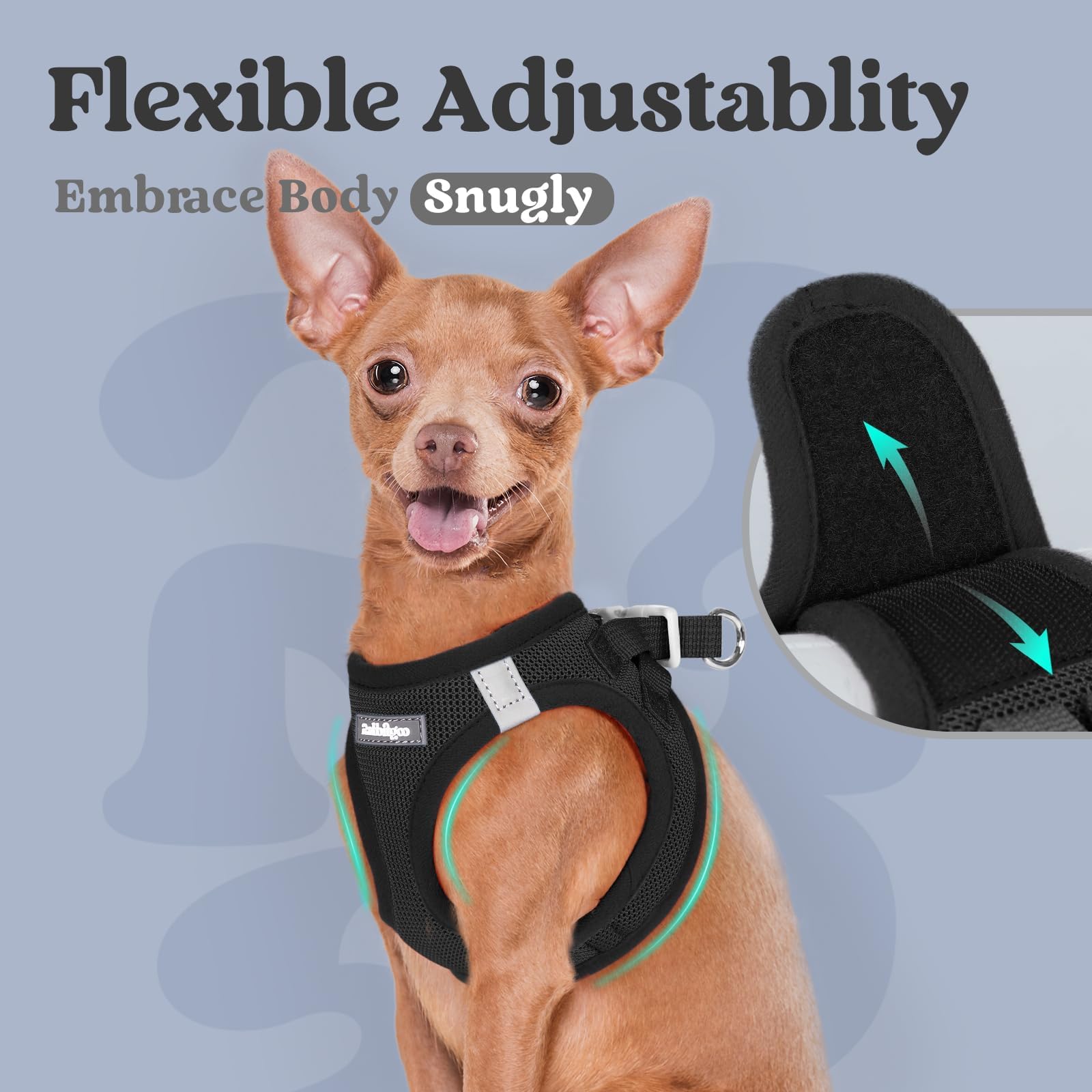 Ideal para paseos, juegos y viajes con tu cachorro.