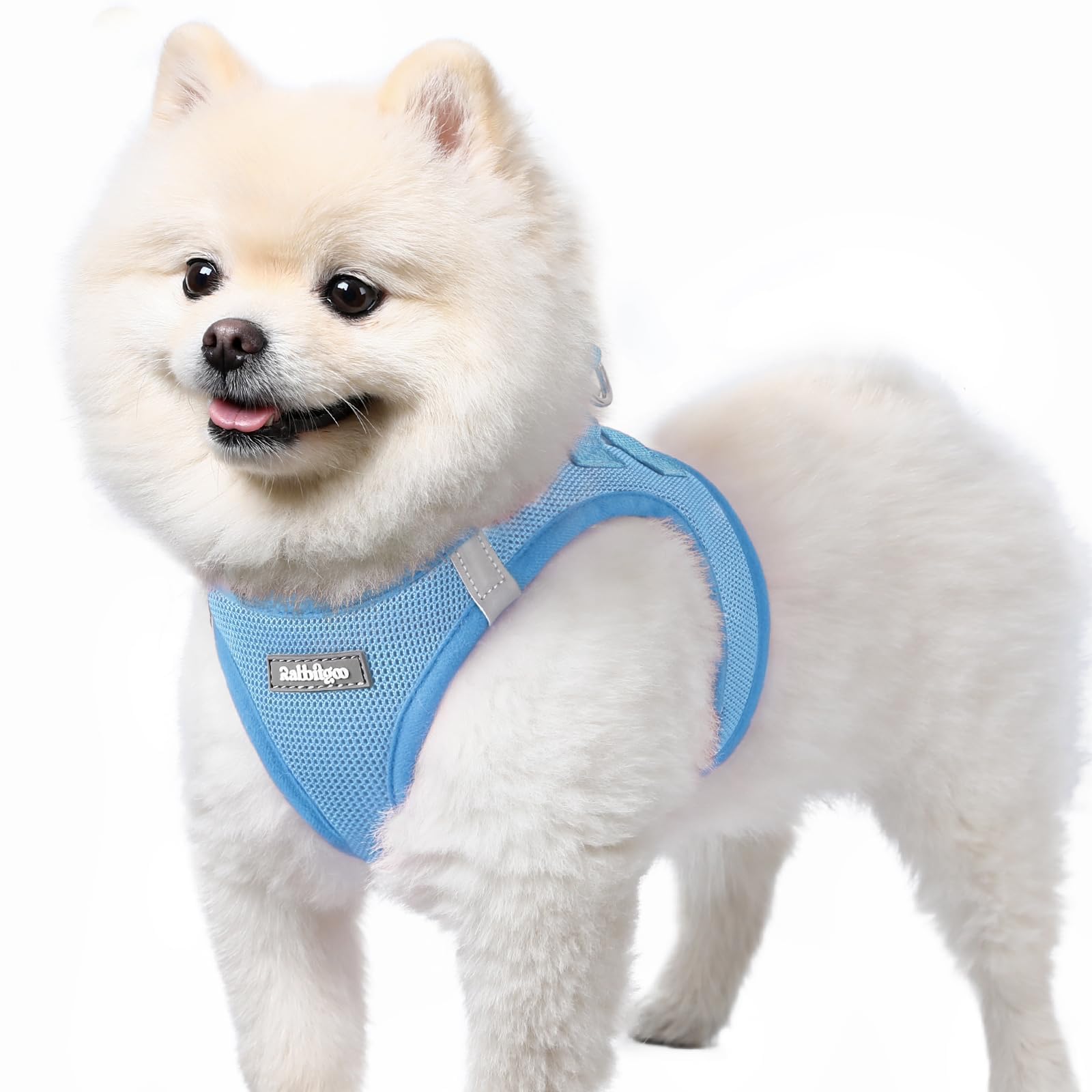 Arnés Rabbitgoo para perro pequeño con malla aire, ideal para paseos diarios.