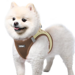 Arnés rabbitgoo para perro pequeño con malla de aire suave