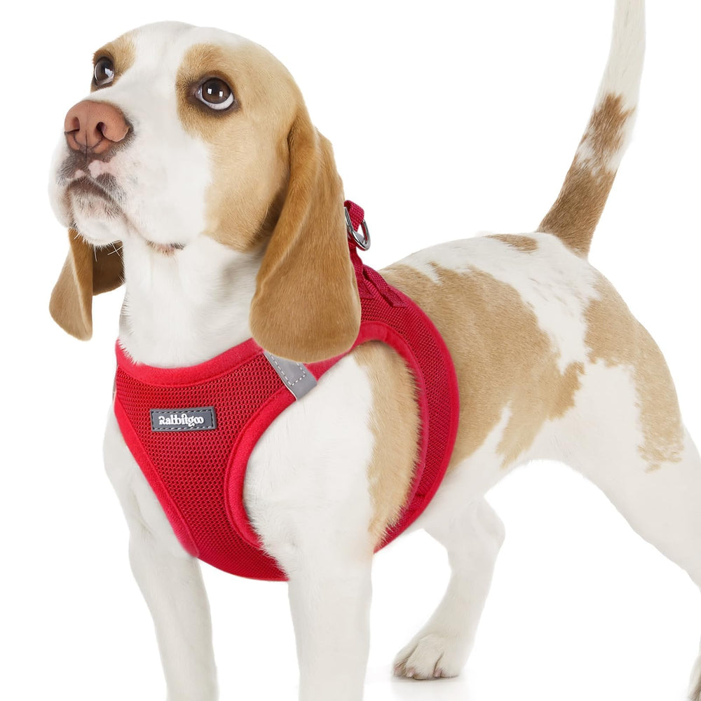 Arnés rabbitgoo para perro pequeño con malla suave en rojo, cómodo para paseos.