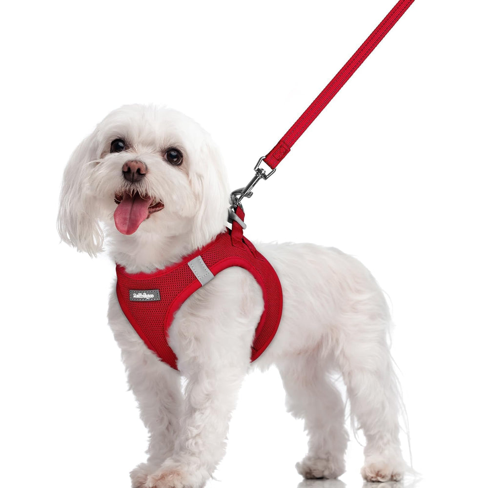 Arnés Rabbitgoo para perro pequeño, paso frontal rojo, fácil de poner.