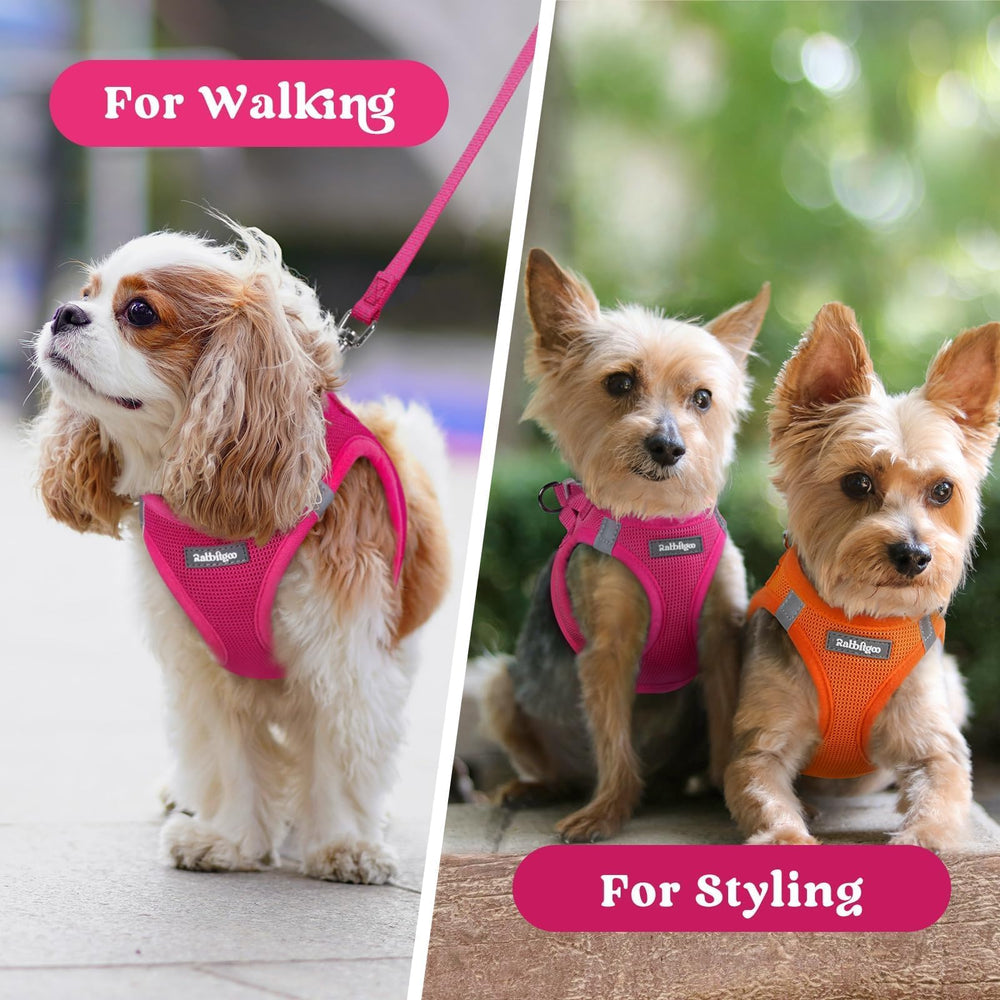 Arnés Rabbitgoo rosa para perros pequeños, seguro y cómodo en salidas.